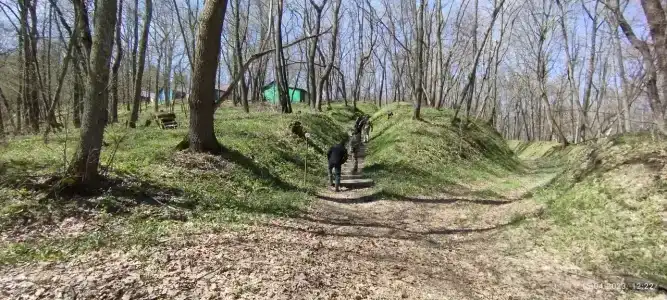 Слюдяночка - 48