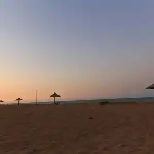 Золотые Пески - 74