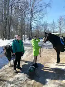 Березки - 77