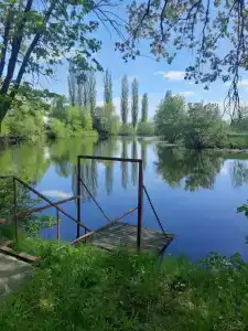 Ласточка - 73