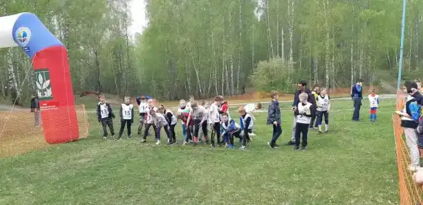 Берёзка - 17