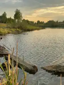 Отдых у реки - 77