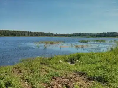 Бурдиха - 21
