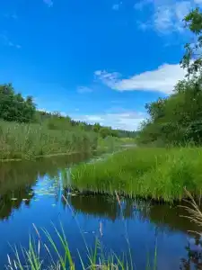 Дом на берегу Ладоги Tervunjoki - 17