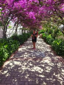 Alaiye Resort & Spa - Ultra All Inclusive - 23