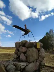 Сосновый Бор - 41