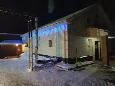 Дельфин - 1