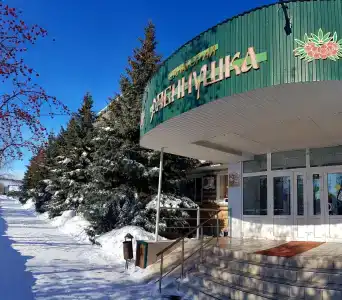 Рябинушка - 11