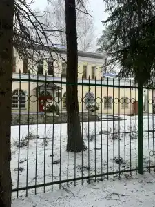 Красный Бор - 65