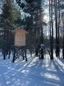 Артемида - 9