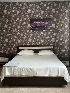 Дмитриевские бани - 26