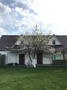 Остров - 10