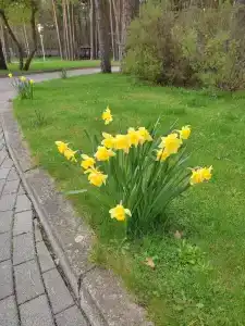 Балтийские пески - 60