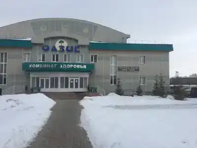 Оазис - 1