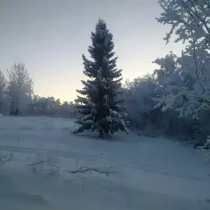 Гольфстрим - 7