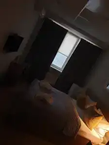 Стандарт - 55