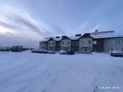 Дружинино - 40