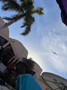 Ali Baba Palace -Families and Couples Only- - 90