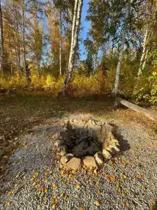 Тихий Кот - 2