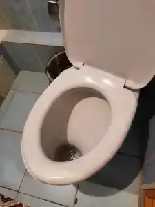 Лимон - 3