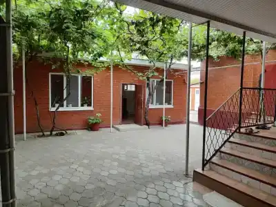 у Петровича - 2