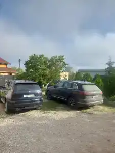 Колибри - 18