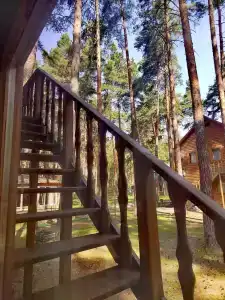 Сосновый бор - 3