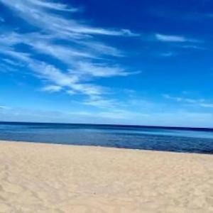 Снетковское Озеро - 92