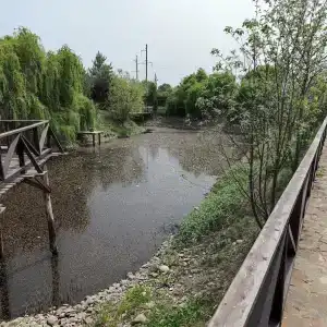 Афродита - 8