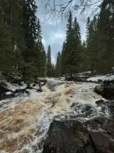 Вечера на Хуторе - 25