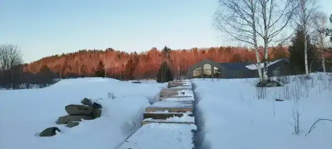 Лунный свет - 23