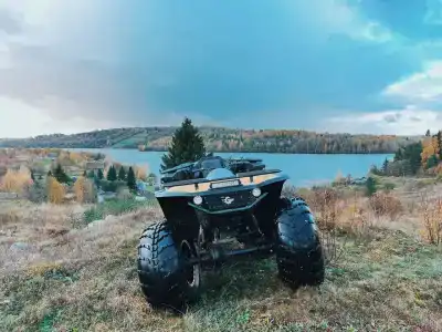 Лунный свет - 25