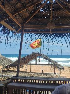 Hansa Surf - 16