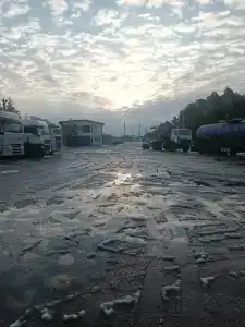 Южные зори - 6