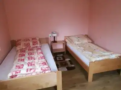 Дельфин - 13