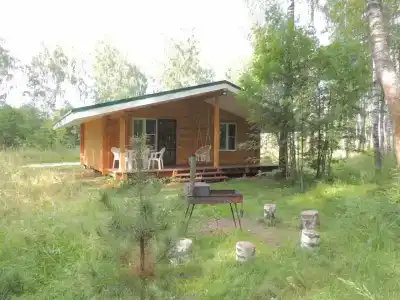 Лесная дача - 46