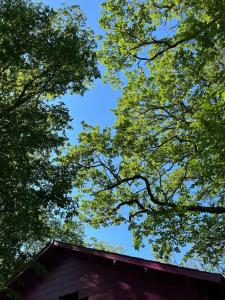 Эколоджия - 21