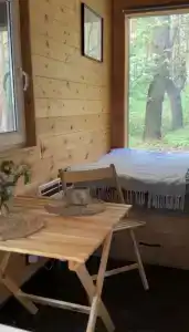 Место под соснами - 2