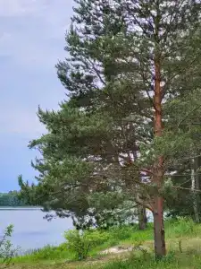Хутор Верхутино - 16