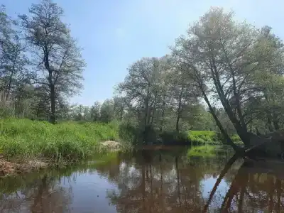 Белистрел - 6