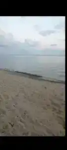 Усадьба помещика Гуляева - 36