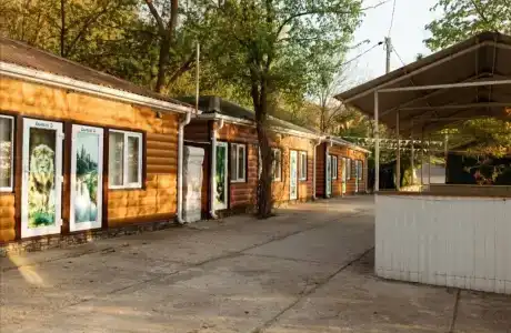 Лидия - 21