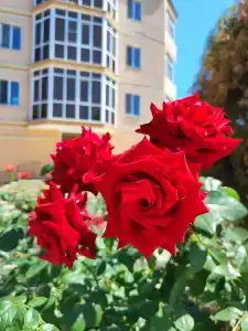 Глобус - 8