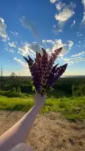 Красное Озеро - 18