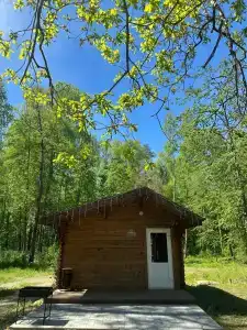 Подберёзовик - 5