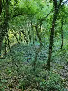 Райский уголок - 9