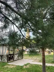 Троицкое - 40
