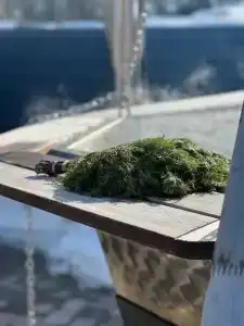 Фестиваль-Парк - 65