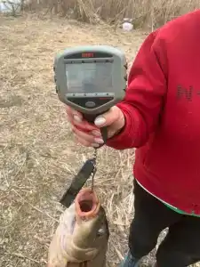 Флотраскат - 26