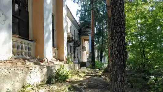 Каменный цветок - 16